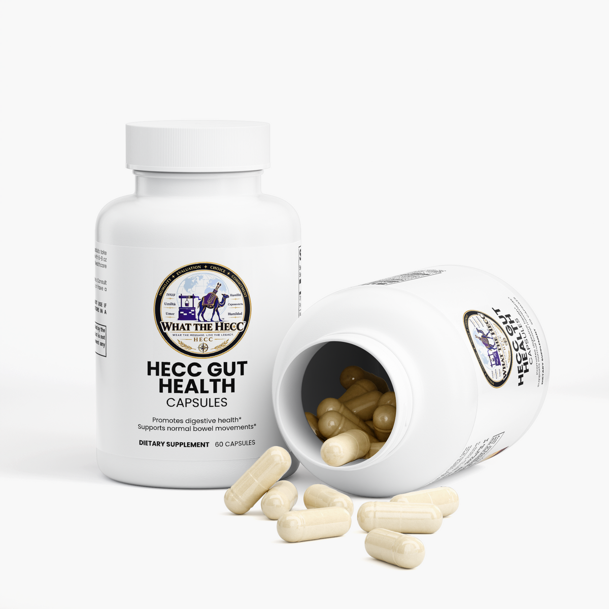 HECC Gut Health