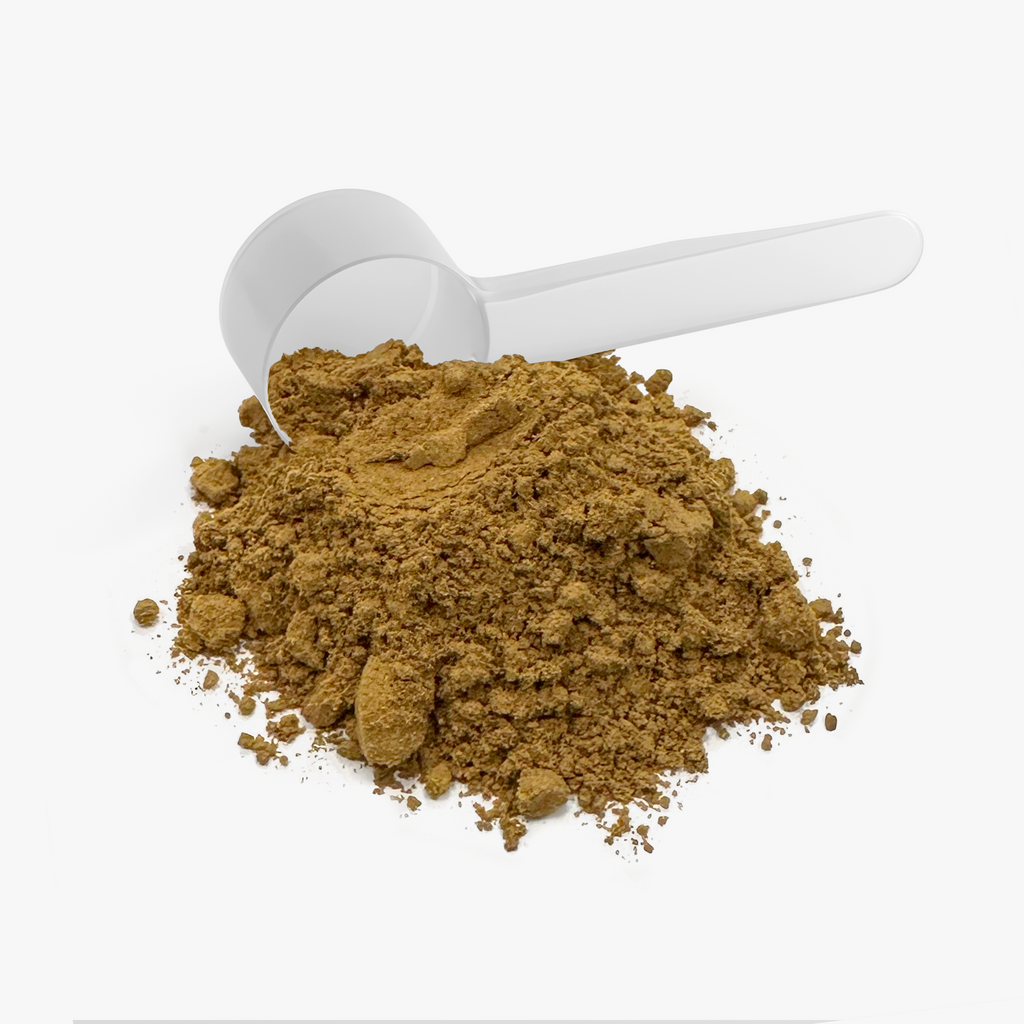 HECC Mushroom Fuse Instant Coffee (Medium Roast)